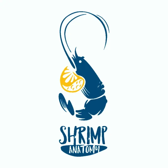 Shrimp Anatomy